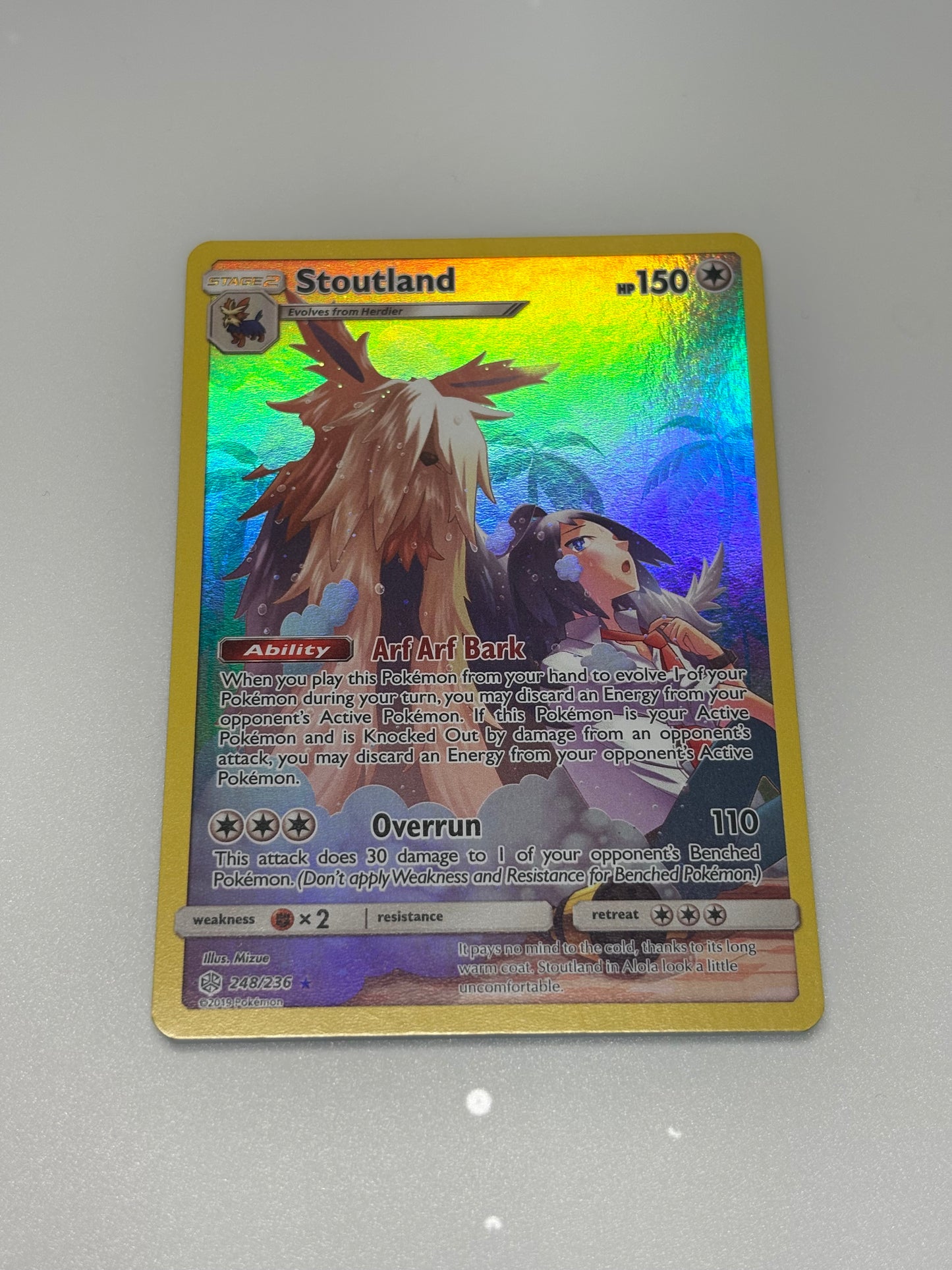 Stoutland 248/236 (small white bottom left)