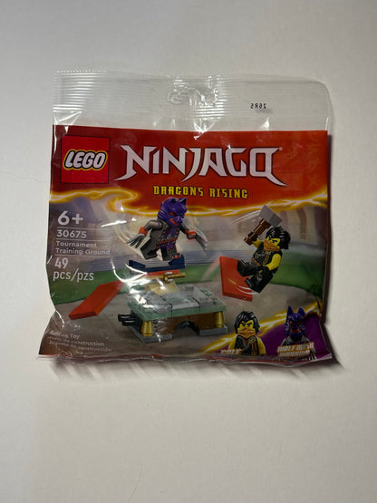 Ninjago dragons rising 30675
