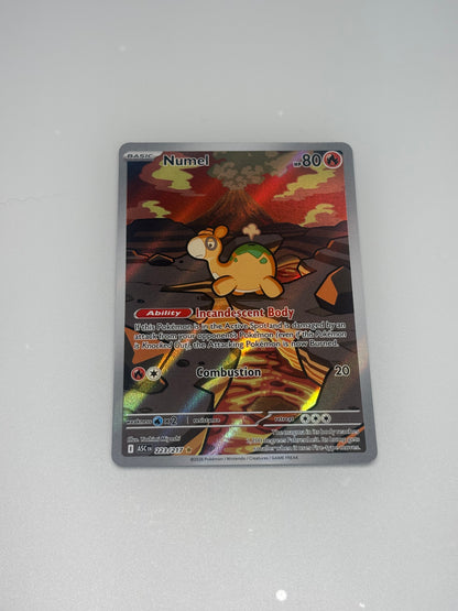 Numel 223/217